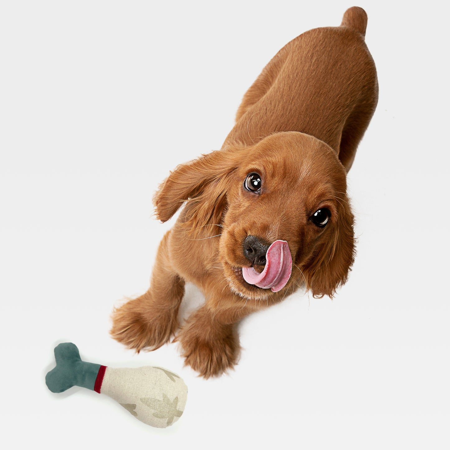 Holly Jolly Girl Pup Toy Kit