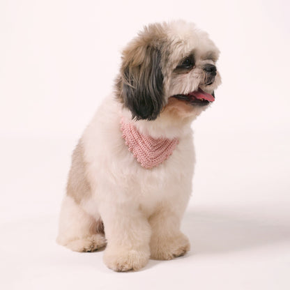 Shih Tzu wearing a crochet bandana by Pets and People Co.